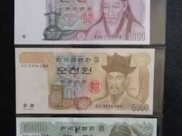 一百韩元能买什么(韩元1000能买什么)