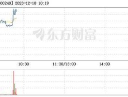 股票300240（江苏飞力达是国企吗？）
