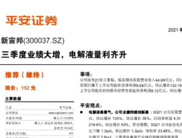 300037新宙邦（新宙邦主营业务？）