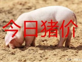 未来10天毛猪价格，再过20天猪价会降吗？