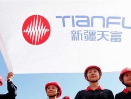 天富热电，天富能源主营业务？