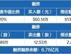 横店东磁股票（1589元的单晶硅股票是那一只？）
