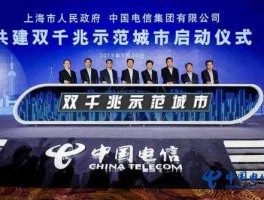 电信科技，中国电信数字城市科技有限公司怎么样？