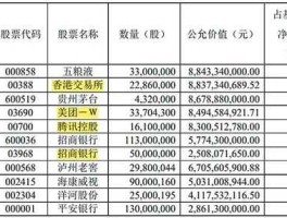 土豪投资股市（国内股票投资大佬）