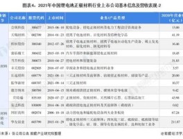 三元股份年报（锂电正极材料上市公司排名？）