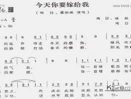 今天你要嫁给我简谱(今天你要嫁给我简谱教唱视频)