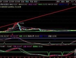 000753股票 4块7毛股票？