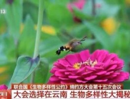 昆明生物多样性会议召开时间2021年，昆明植物多样性大会什么时候召开？