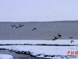 甘肃入夏多地降雪（甘肃河西走廊近期会降雪吗？）