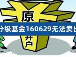 160629，文化传媒基金有哪些？