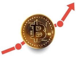 Riot以平均每枚BTC 101,135美元的价格收购667枚BTC