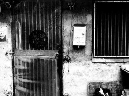 平安南京微博（今年糯米巷和平安巷拆吗？）