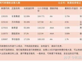 国投转债 国投首创纯债D3什么时候发行的？