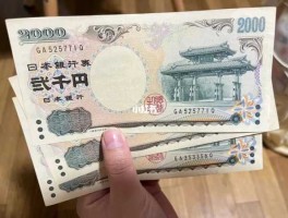 12万日元 600万日元在日本算多吗？