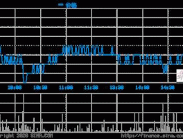 600611大众交通 600611大众交通都经营什么业务