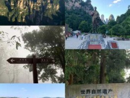 张家界旅游网（这两天张家界旅游人数？）