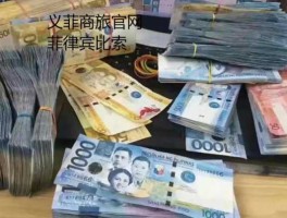 12000菲律宾币是多少人民币(菲律宾1万折合人民币多少钱)