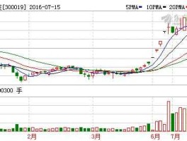 300019股票，硅宝科技工作怎么样？