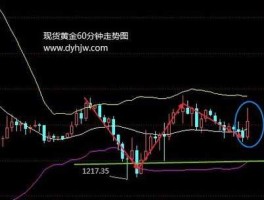 现货黄金实时行情查询（现货黄金价格实时行情）