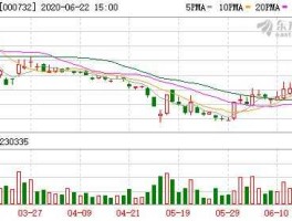 000732泰禾集团资金链（000732泰禾集团股票行情）