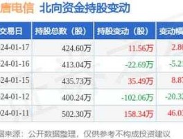 大唐电信股票？大唐电信为什么停盘？