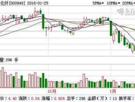 新乡化纤股票（新乡白鹭化纤集团有限责任公司的介绍？）