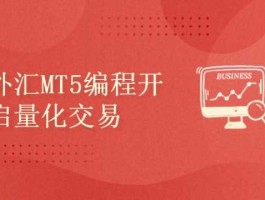 mt5外汇交易正规吗(mt5外汇平台合法吗)