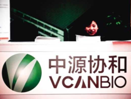 中源协和股票，中源协和可能变成伟大的公司吗？