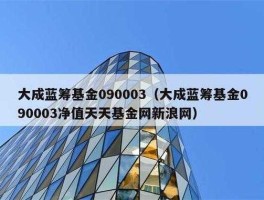 大成蓝筹基金净值090003 2007年9月5号买大成蓝筹稳健混合090003？