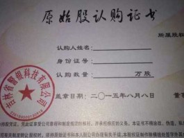 股发吧，原始股要上市多久以后才可以卖吧？