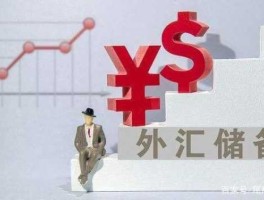 外汇储备什么意思，外汇储备是什么意思，有什么作用？