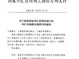 上海市外汇管理局官网(上海外汇局的电话咨询电话)