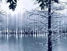 河北影道直播，河北地区冬天影子多长？