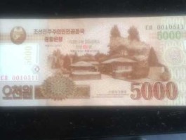 500万朝鲜货币的汇率(500万朝鲜货币的汇率是多少钱)