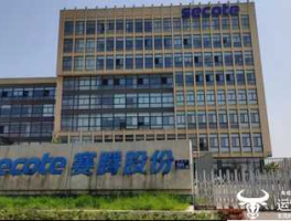 赛腾股份，赛腾股份为什么改名？