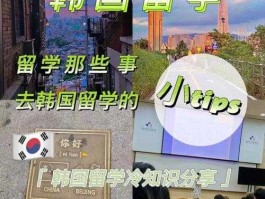 韩国留学条件要求（韩国留学条件要求3 十1）