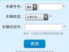 车辆违章查巡，交通违章查询？