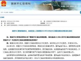 国家外汇局数字管理平台，怎么查询是否列入外汇局黑名单？