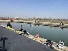 西安钓鱼网 西安哪有钓鱼的地方？