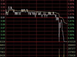 步森股份股票 大单买盘挂跌停价什么意思？