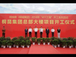 300209股票？桐昆集团有几家上市公司？