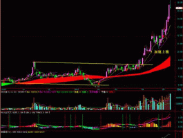 维科精华股票（600800什么时候复牌？）