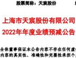 天宸股份有限公司？上海市天宸股份有限公司是国企吗？