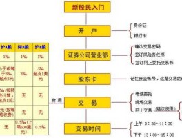 b股怎么开户（我想炒B股，需要哪些手续？）