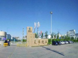 新疆天业集团（石河子市的天业集团怎么样？）