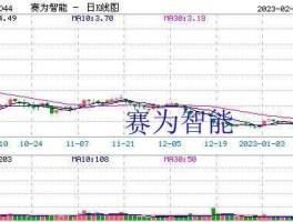 300044股票 赛为智能是做什么的？