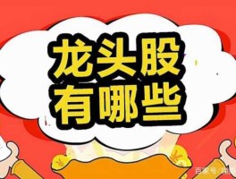 各板块龙头股，什么是真正龙头股？