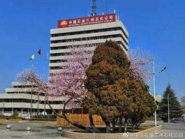 兰州石化吧，兰州石化公司是什么级别？