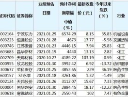 同德化工股票 烟花爆竹的上市公司有那些？