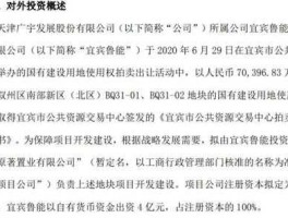 广宇集团吧？鲁能什么时候收购的广宇集团？